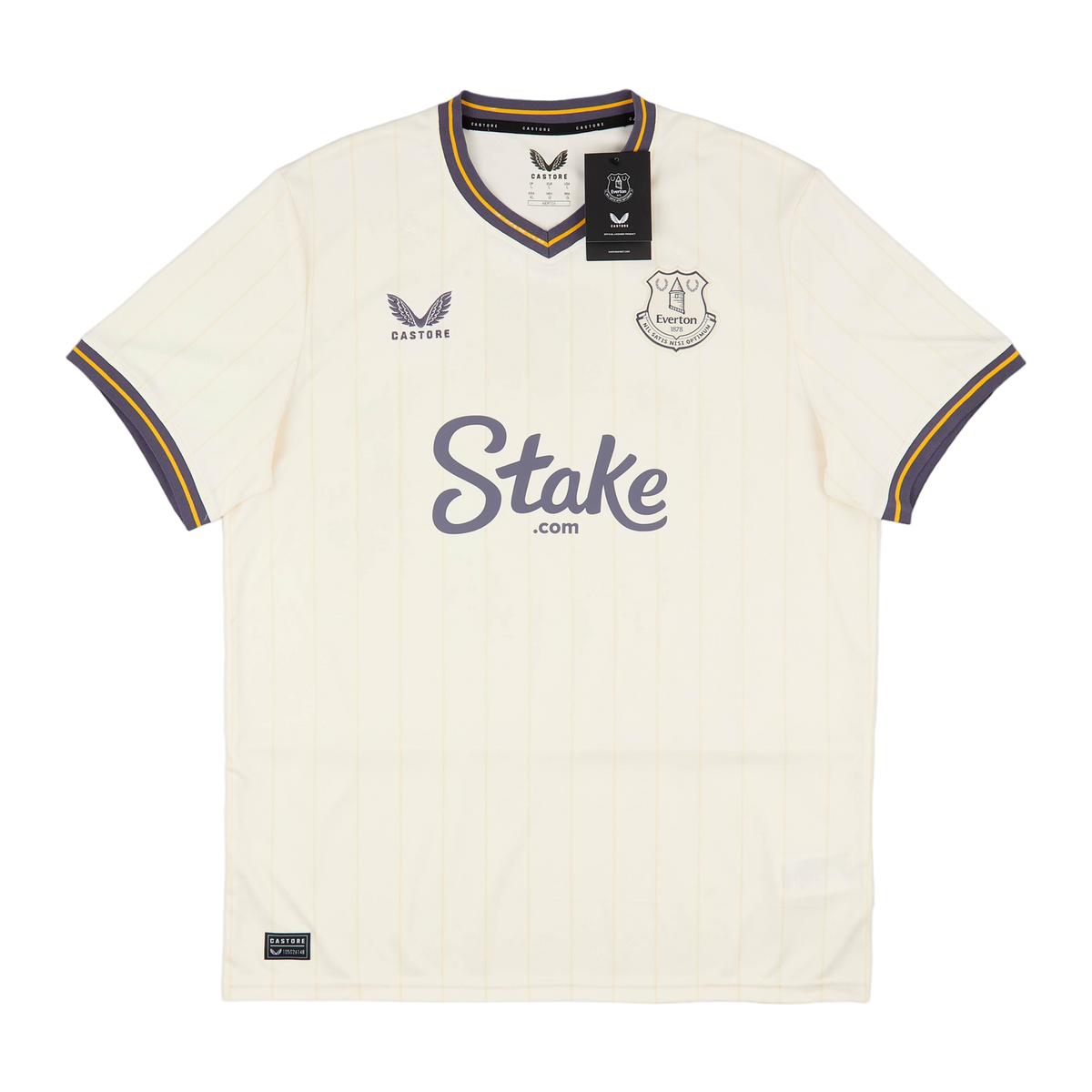 Castore Everton FC Third Shirt 2024/25, front